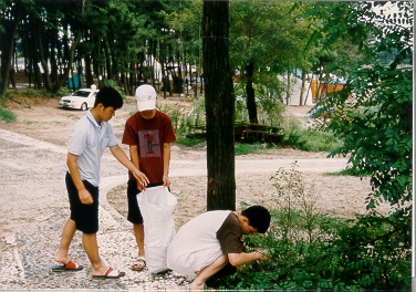 갯벌체험 및 해변정화활동